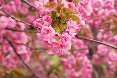 苏州昆山5线下个人借款平台一站式服务，轻松解决资金难题