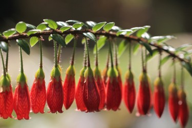 苏州昆山5零用贷短借：轻松解决临时资金需求