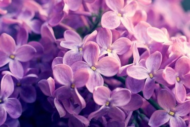 苏州昆山5企业急用钱贷款攻略：快速融资解燃眉之急